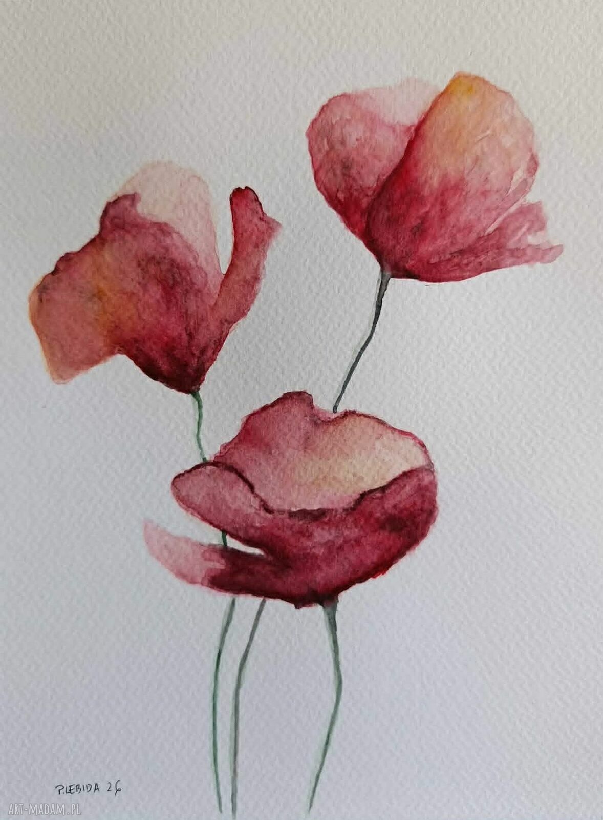 MAKI - akwarela formatu 24x18 cm