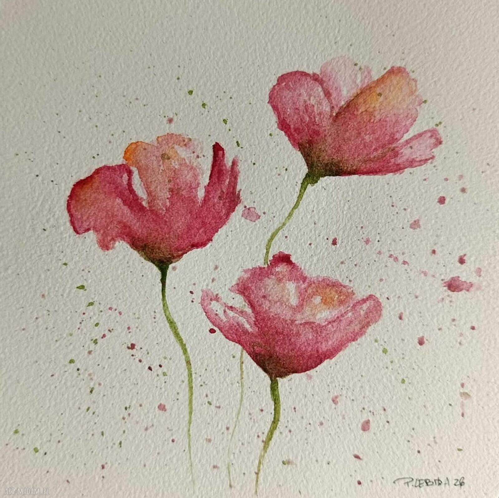 Maki - oryginalna akwarela 15x15 cm (bez ramy)