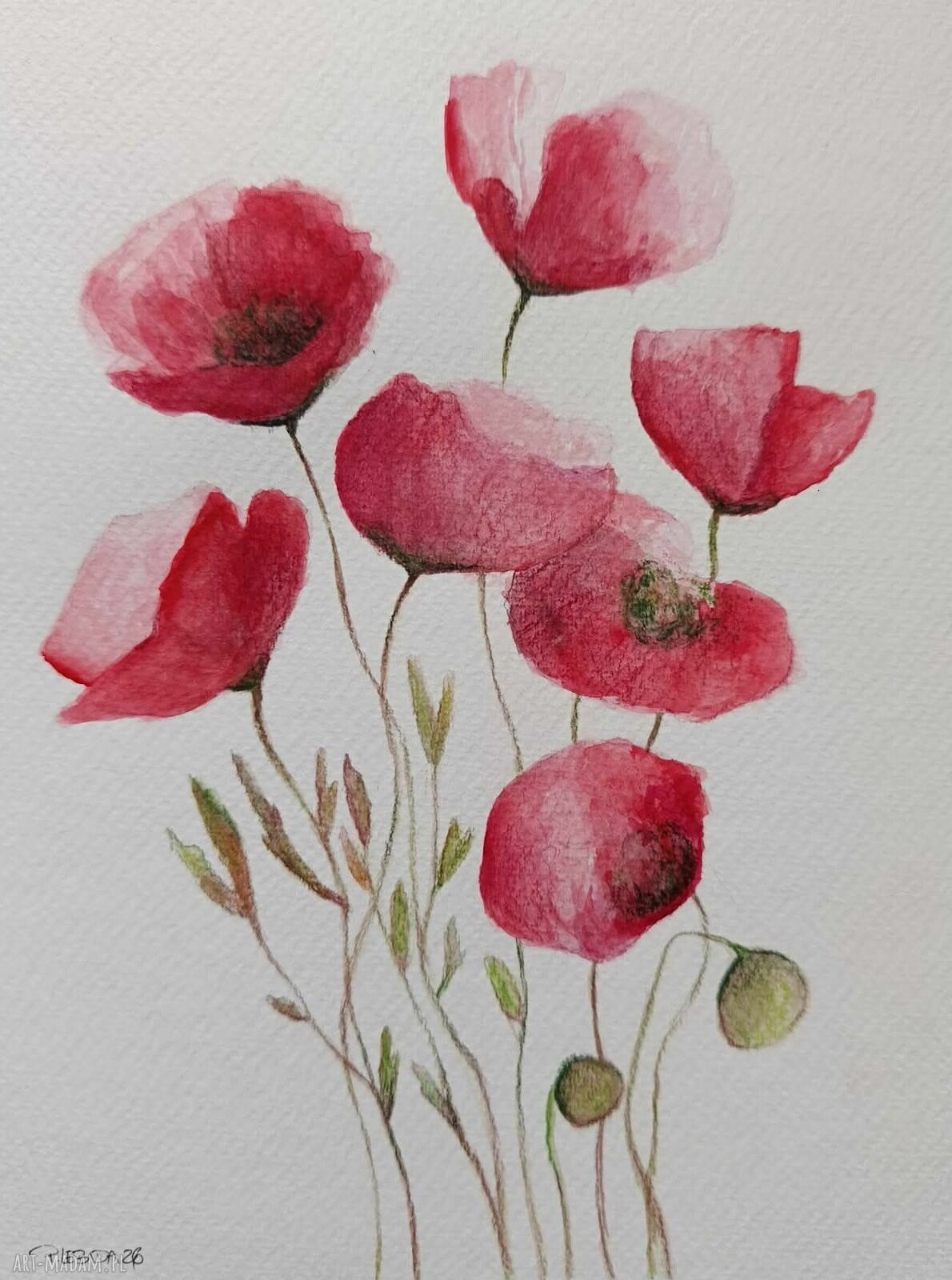 Maki - akwarela 24/18 cm Paulina Lebida (sygnowana praca, bez ramy)