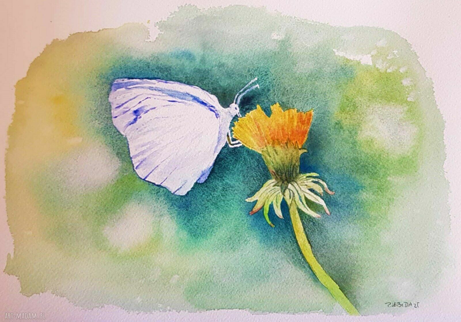 Oryginalna akwarela „Motyl” w formacie A4 - Paulina Lebida