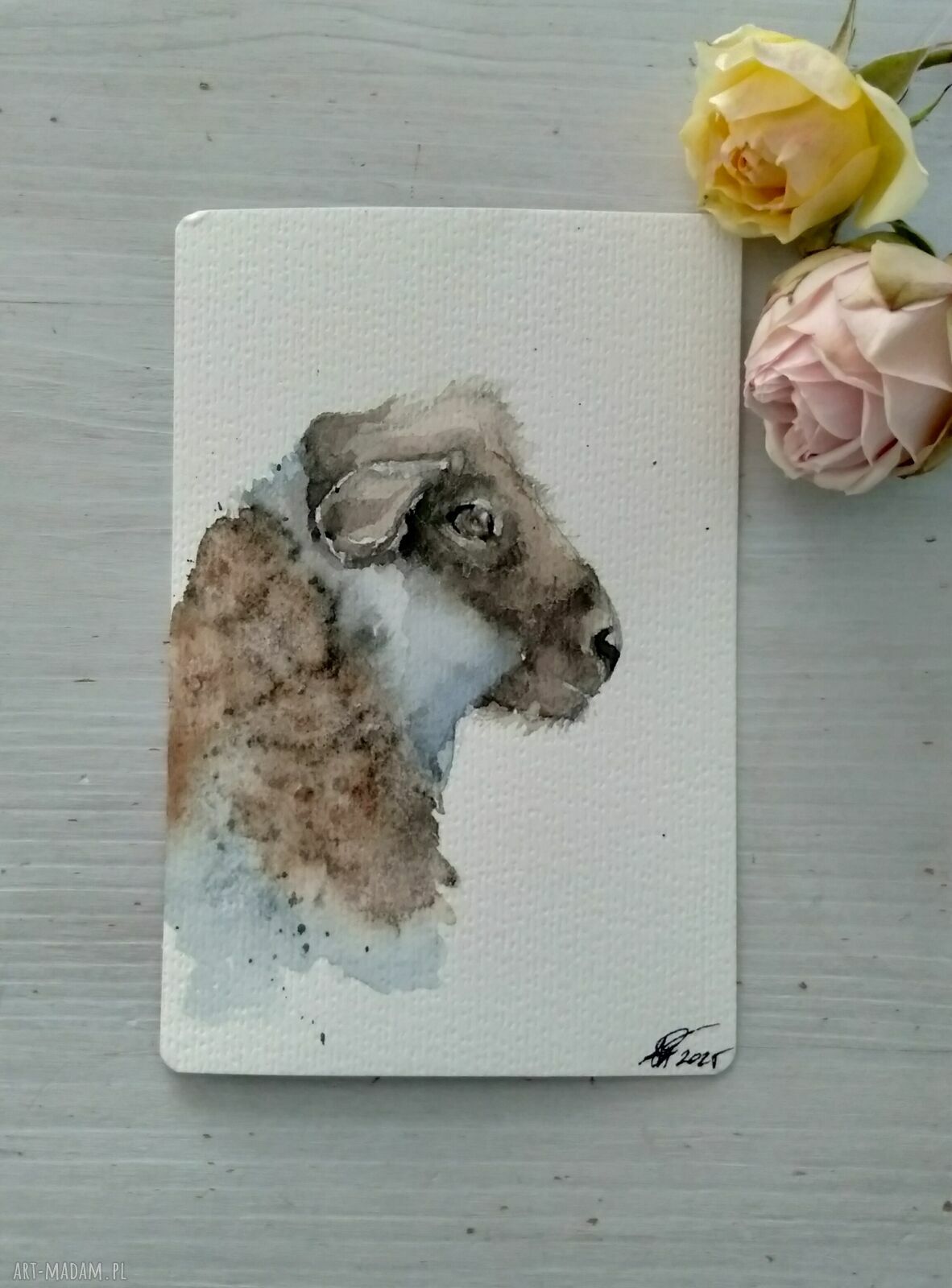 Owca. Akwarela - obraz 10x15 cm w stylu skandynawskim i rustykalnym