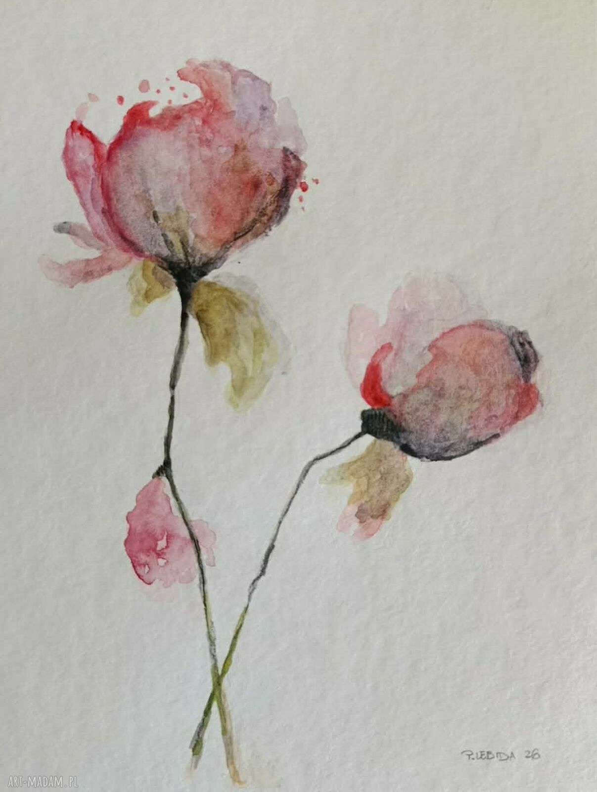 Róże - oryginalna akwarela 24x18 cm (bez ramy)