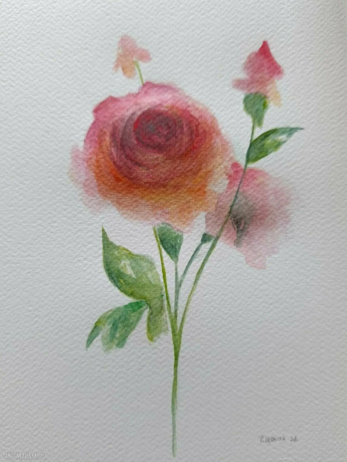 Róże - akwarela 24x18 cm, ręcznie malowany obraz bez oprawy