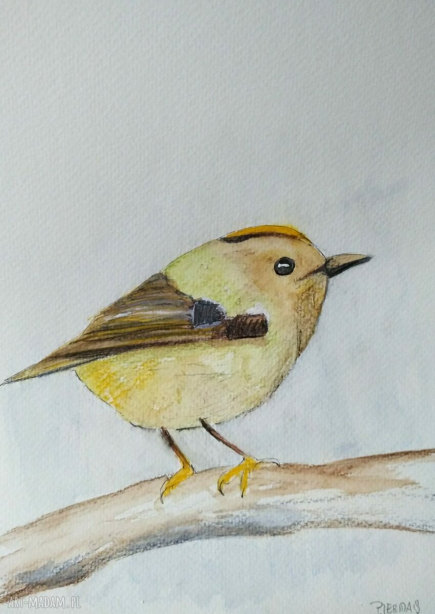 Akwarela Strzyżyk 18x24 cm - ręcznie malowana dekoracja