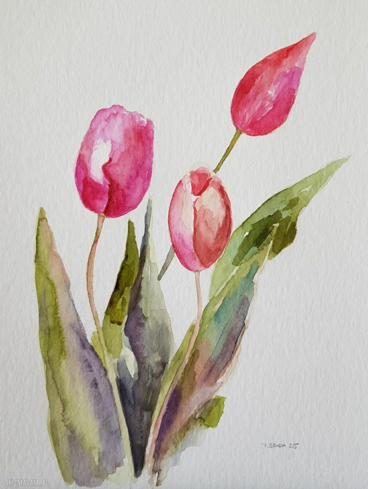 Tulipany - akwarela formatu 32/24 cm