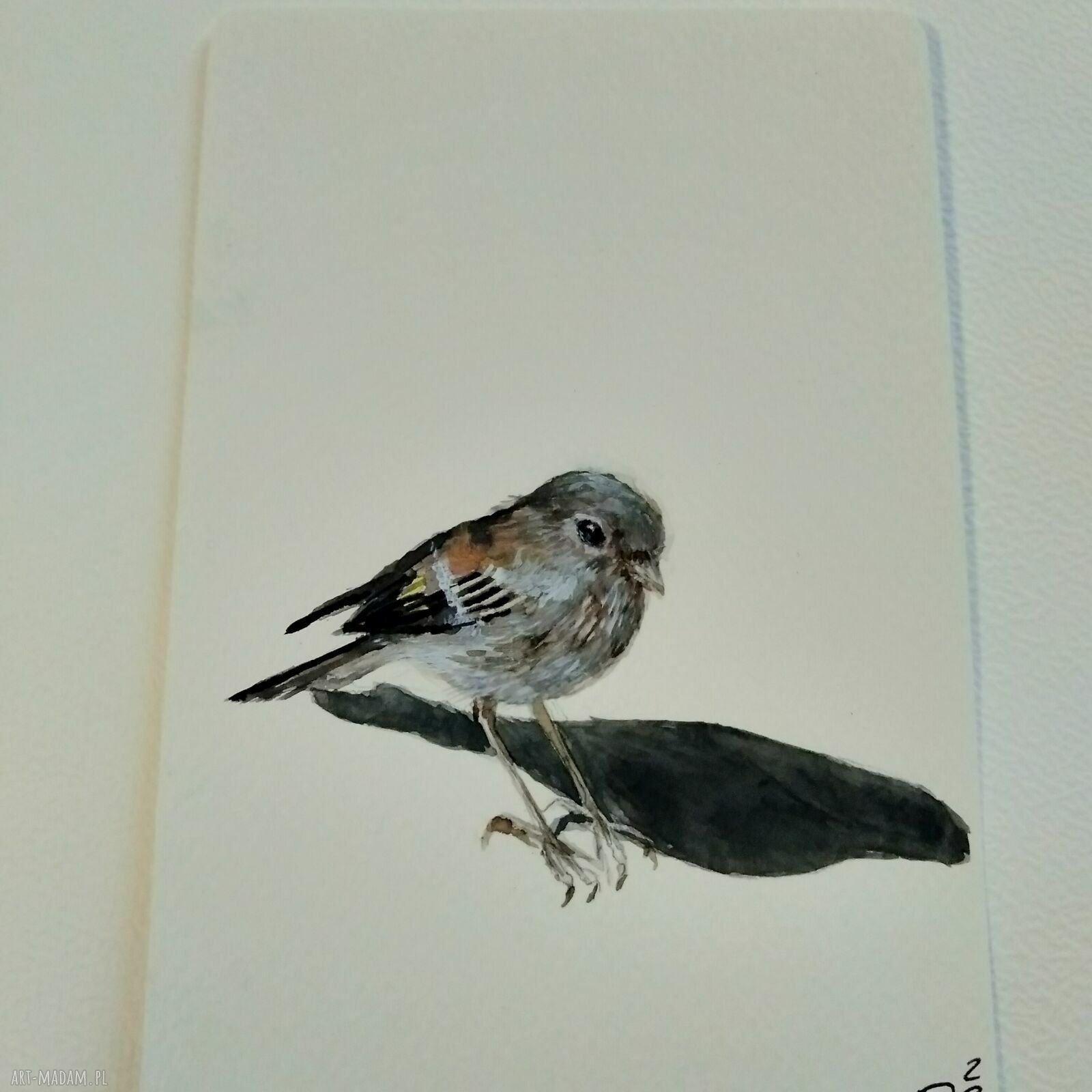 Wróbel - akwarela ręcznie malowana (ptaki) 10 x 15 cm