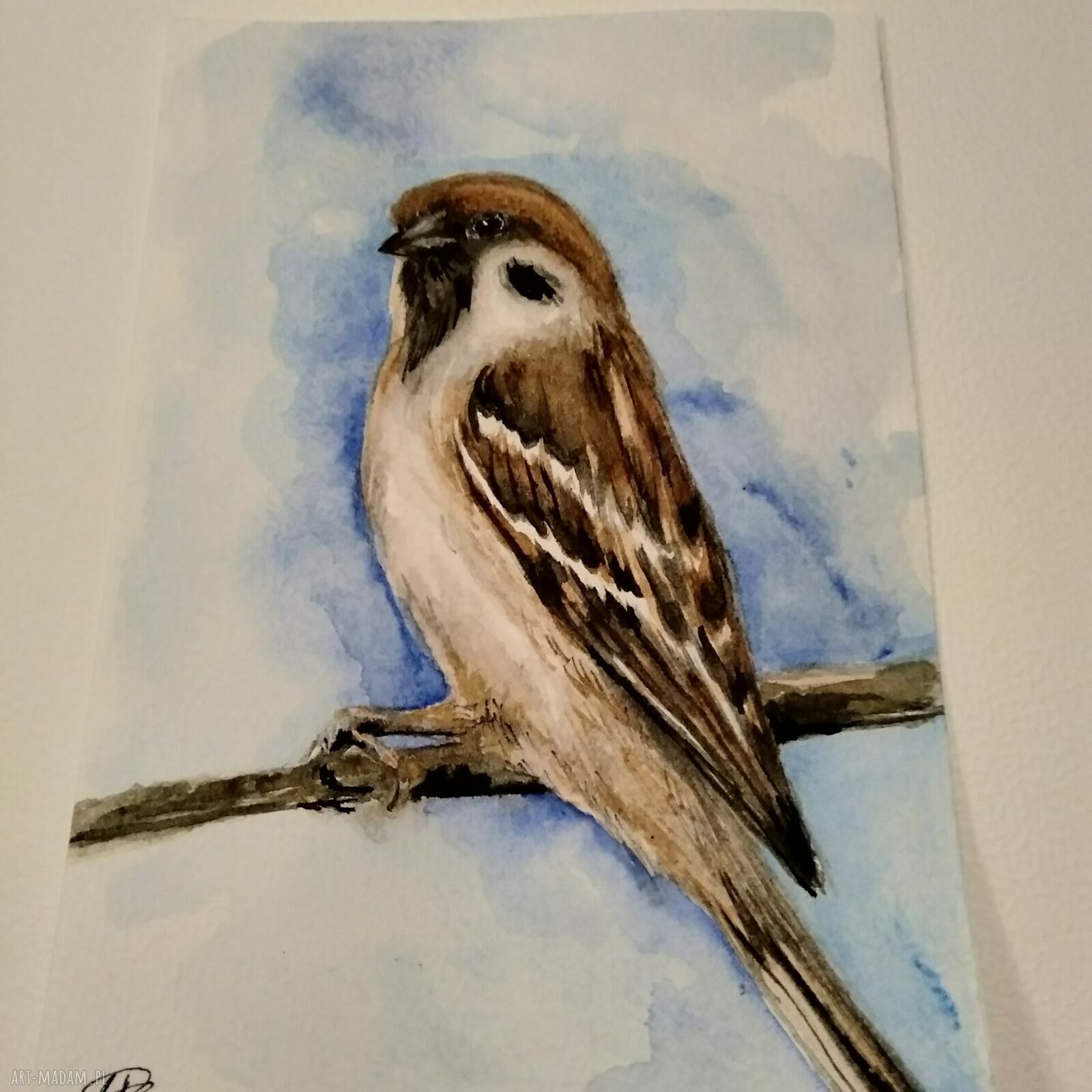 Wróbel - akwarela z ptakami na papierze 300 g (10,5 x 15 cm)