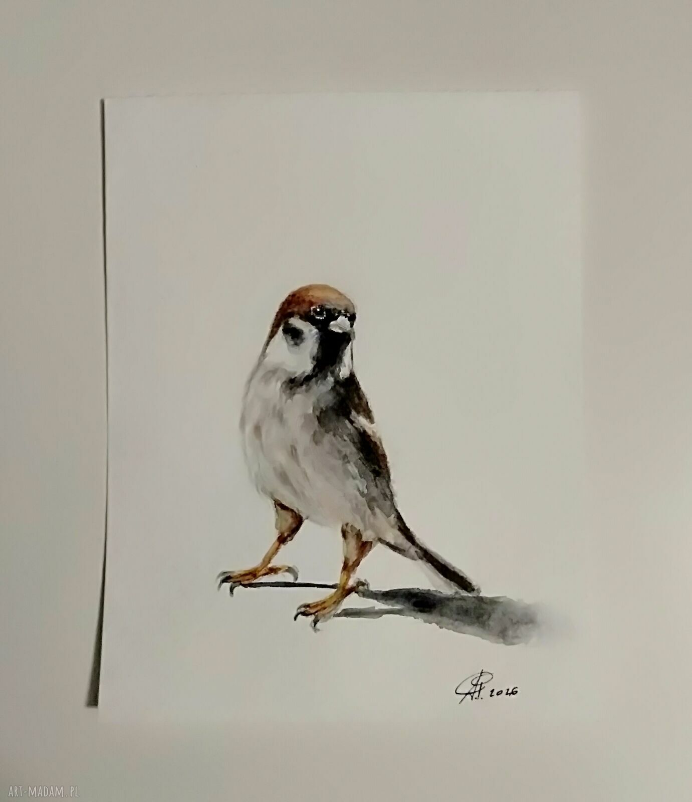 Wróbel - ręcznie malowana akwarela na papierze