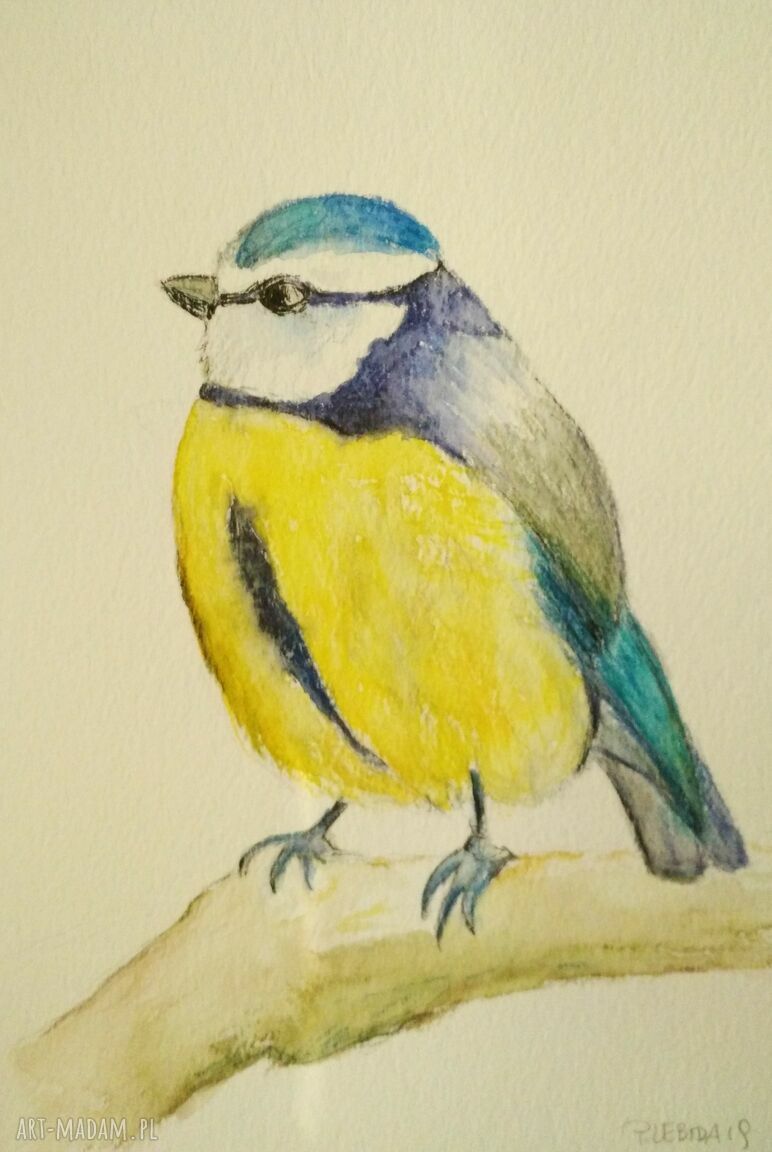 Wróbel - akwarela w formacie A5