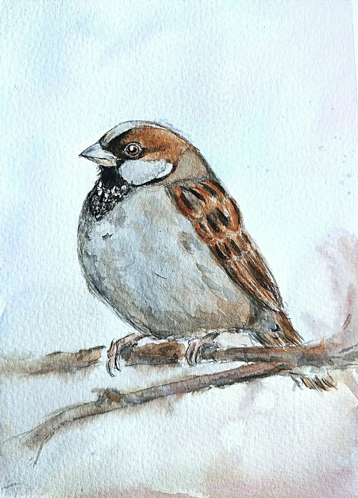 Wróbelek - akwarela ręcznie malowana na papierze 19x26 cm (ptaki)