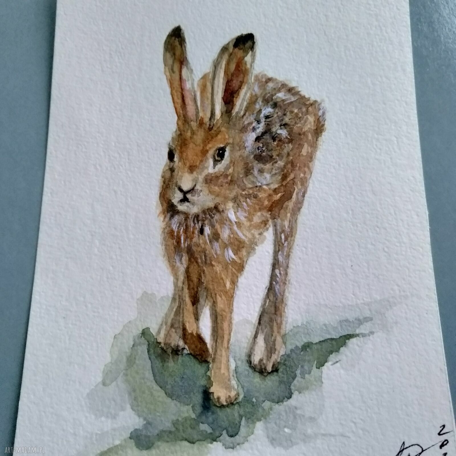 Zając w akwareli - jesienna ilustracja ręcznie malowana