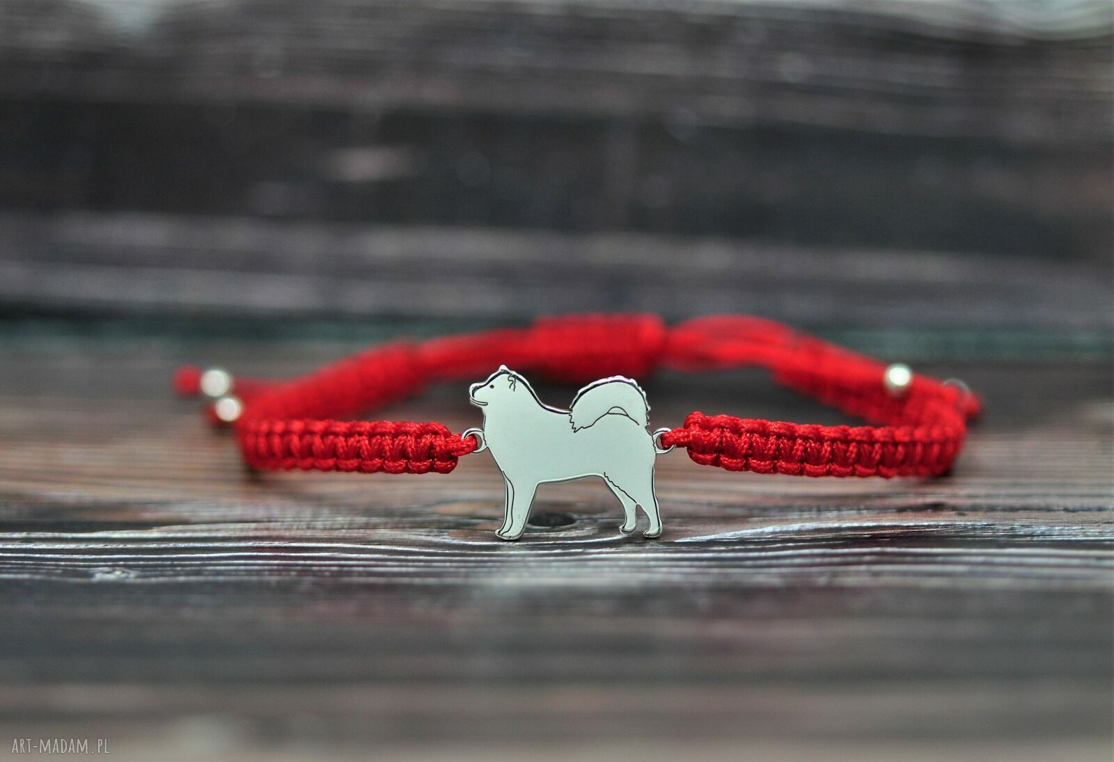 Alaskan Malamute - bransoletka sznurkowa ze srebra 925 (regulowana 15,5-23 cm)