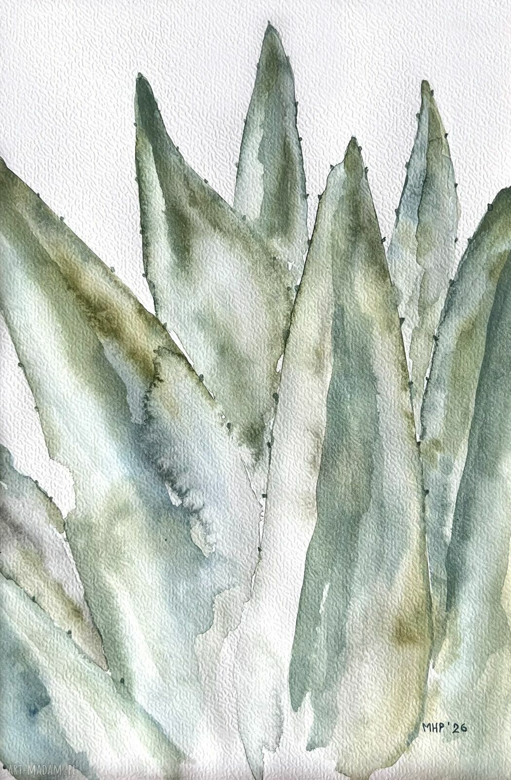 Aloes - akwarela A4 z liśćmi w białe i zielone akcenty - boho natura