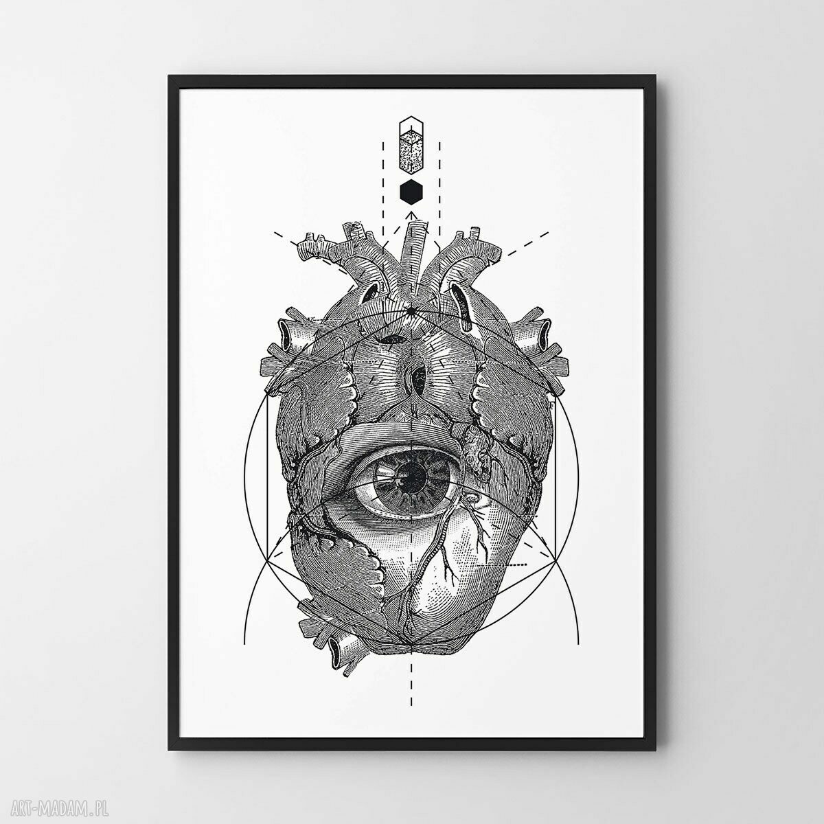 Anatomia serca - plakat 40x50 cm w stylu vintage