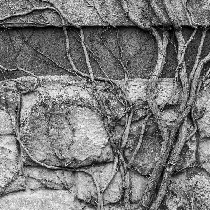 Autorska fotografia czarno-biała relief - ręcznie sygnowana dla nowoczesnych wnętrz