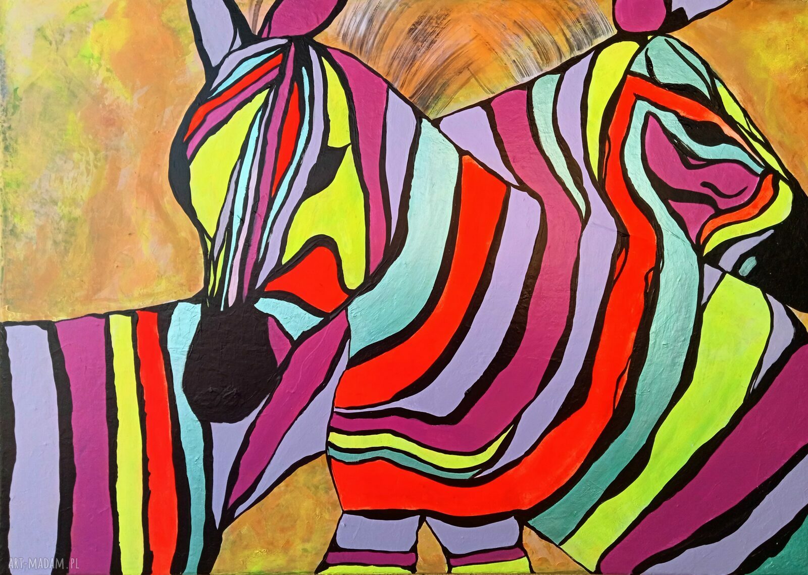 Barwy miłości 33 - obraz akrylowy z zebrami 70x50 cm