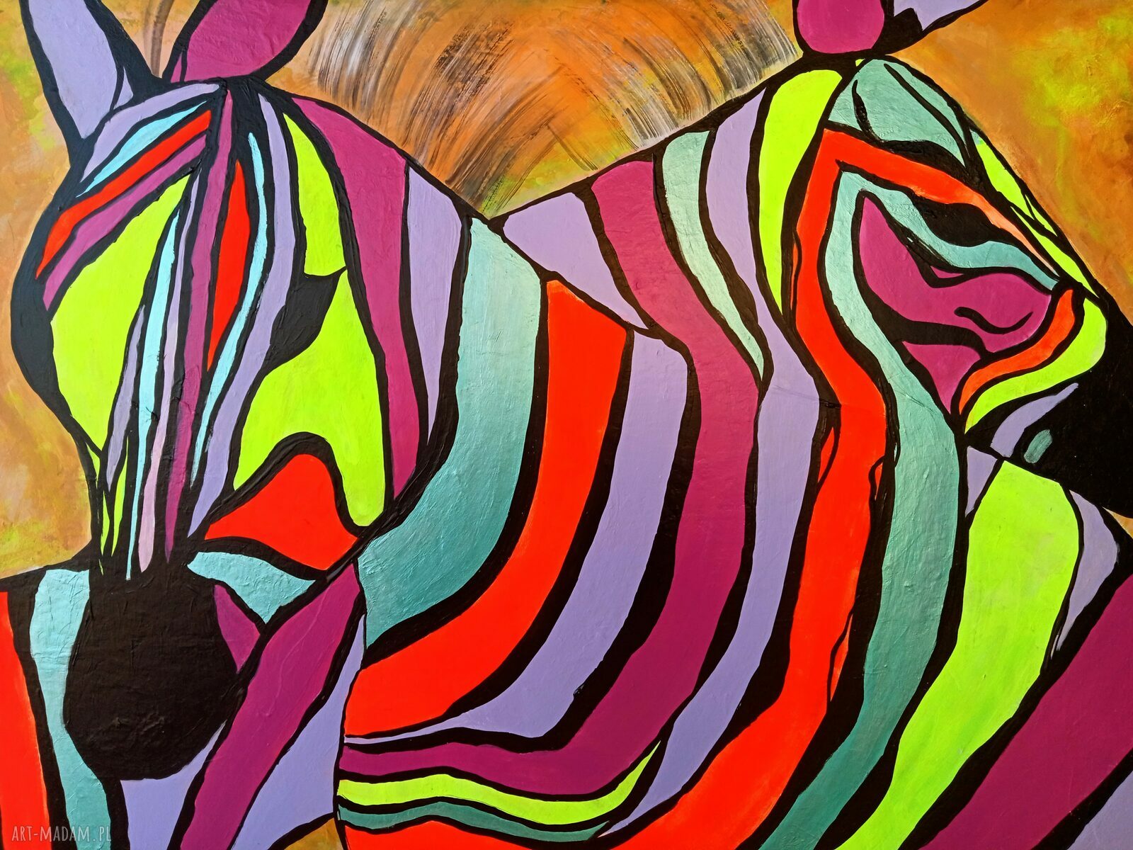 Barwy miłości 33 - obraz akrylowy z zebrami 70x50 cm