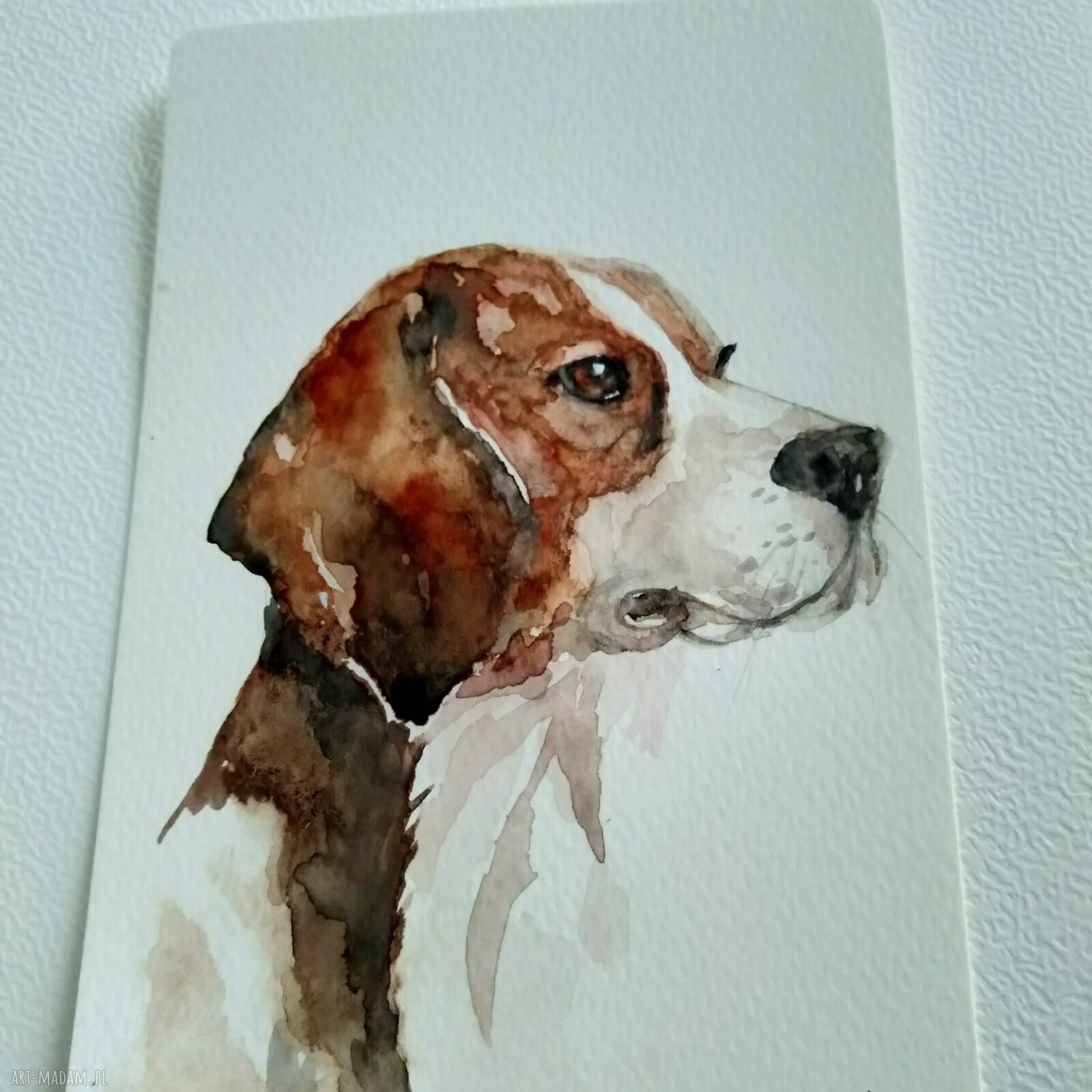 Beagle - akwarela ręcznie malowana na papierze 250 g (10x15 cm)