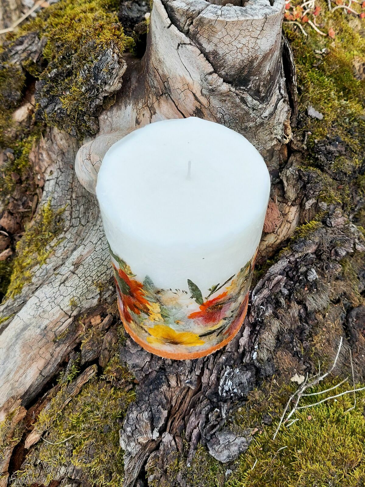 Bezzapachowa świeca botaniczna z wosku sojowego z suszonymi kosmosami