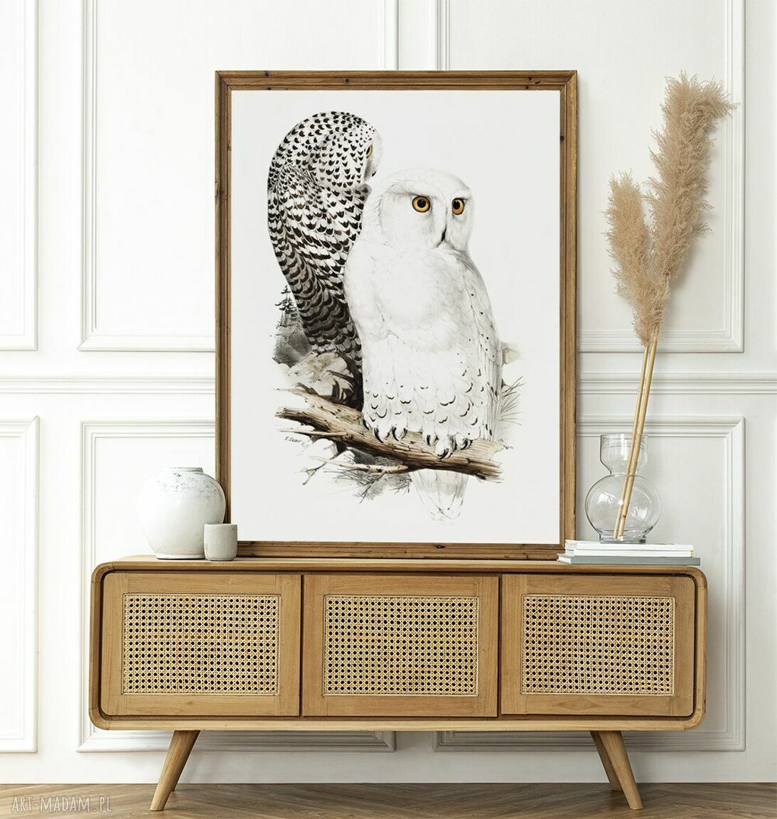 Biała sówka - plakat 50x70 cm Hogstudio