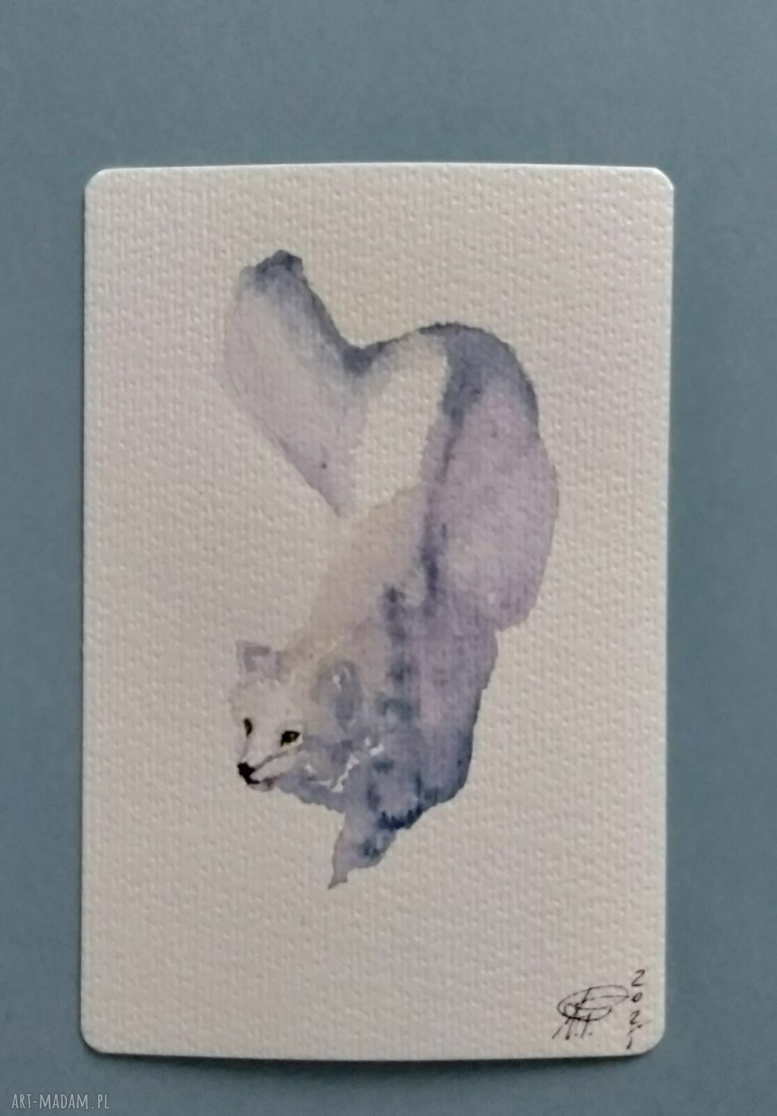Biały lis - delikatna akwarela 10x15 cm na papierze 250 g
