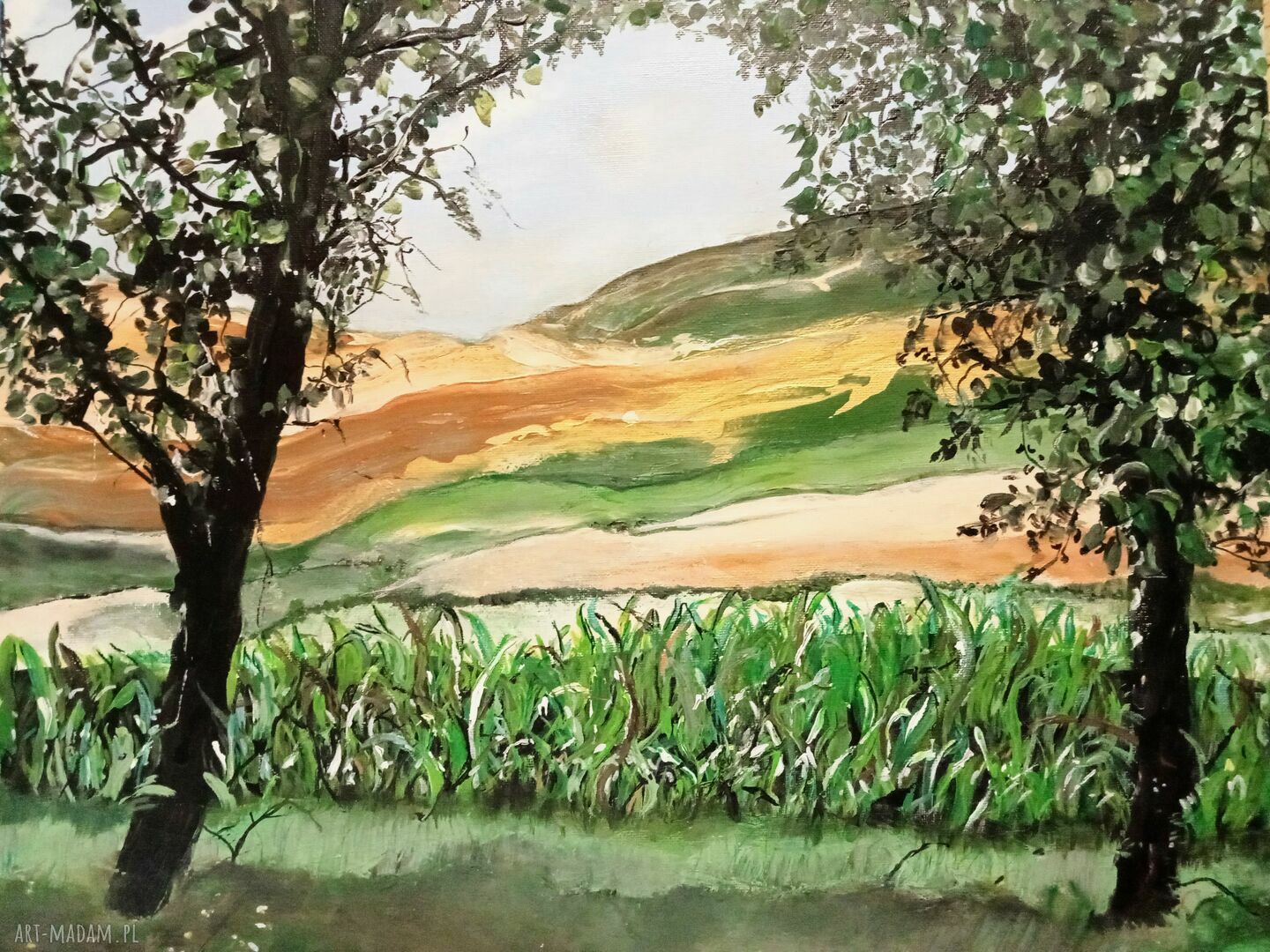Bieszczady - Polska Toskania (pejzaż natura - lato) - obraz akrylowy 50 x 40 x 2 cm