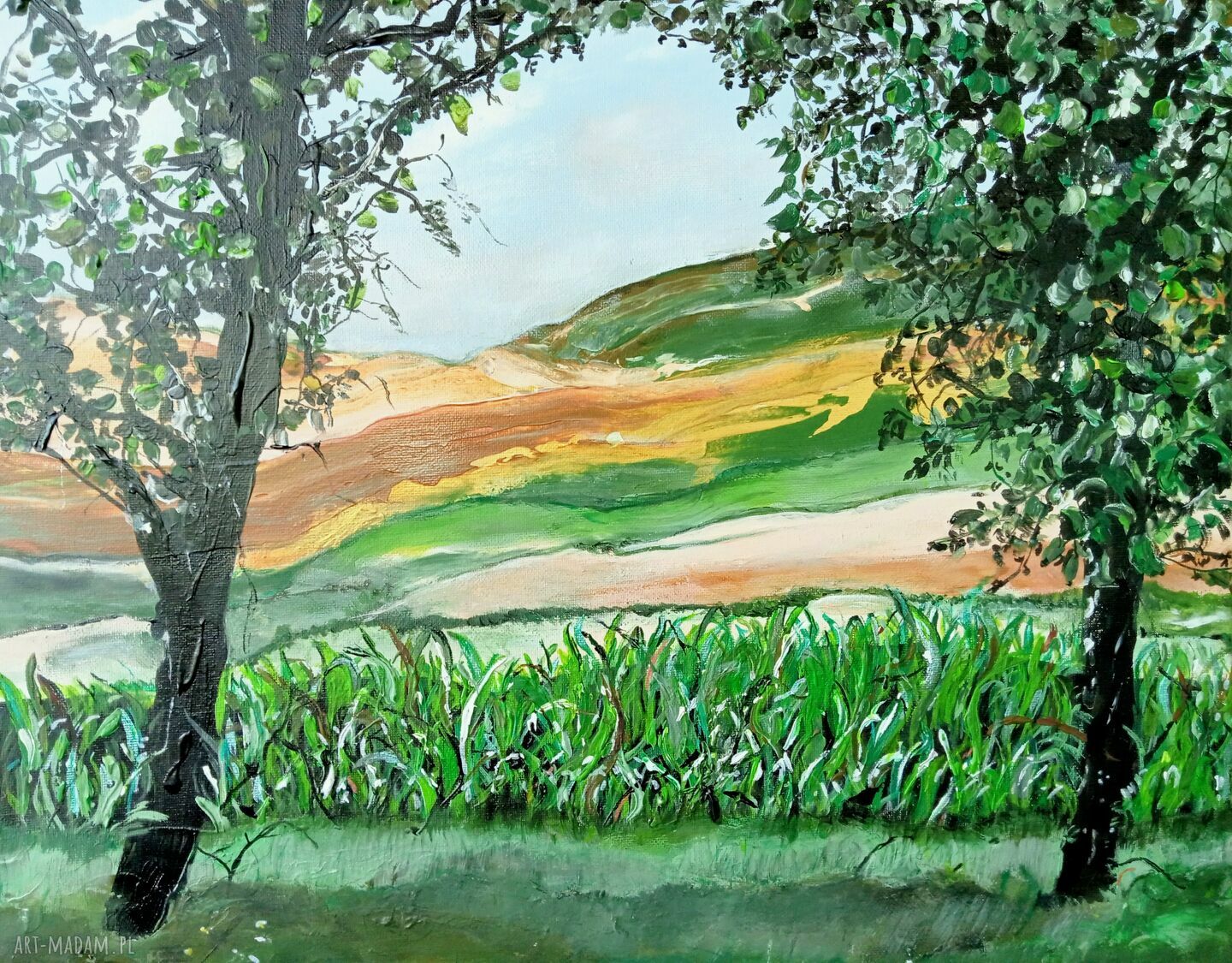 Bieszczady - Polska Toskania (pejzaż natura - lato) - obraz akrylowy 50 x 40 x 2 cm