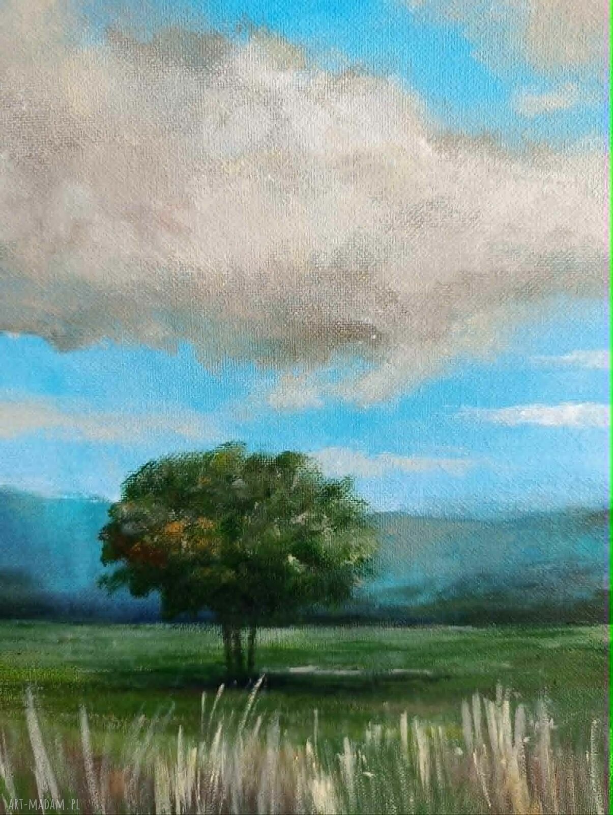 BŁĘKITNE NIEBO - obraz akrylowy na płótnie 60x50 cm, pejzaż niebo i drzewo (bez ramy)