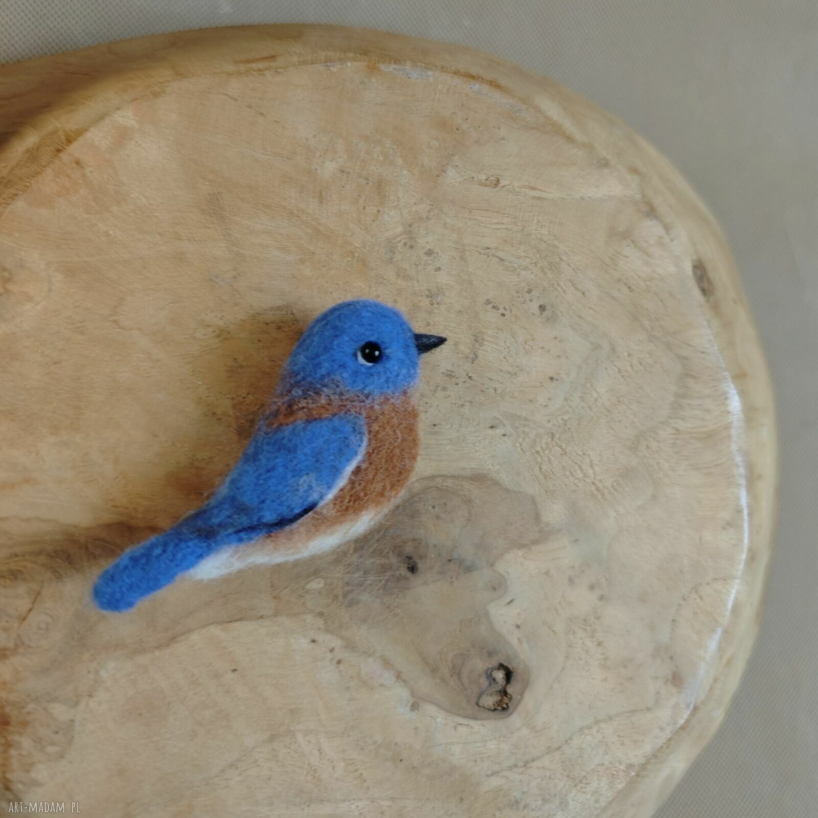 Błękitnik rudogardły - broszka filcowana z owczej wełny 5,5 cm