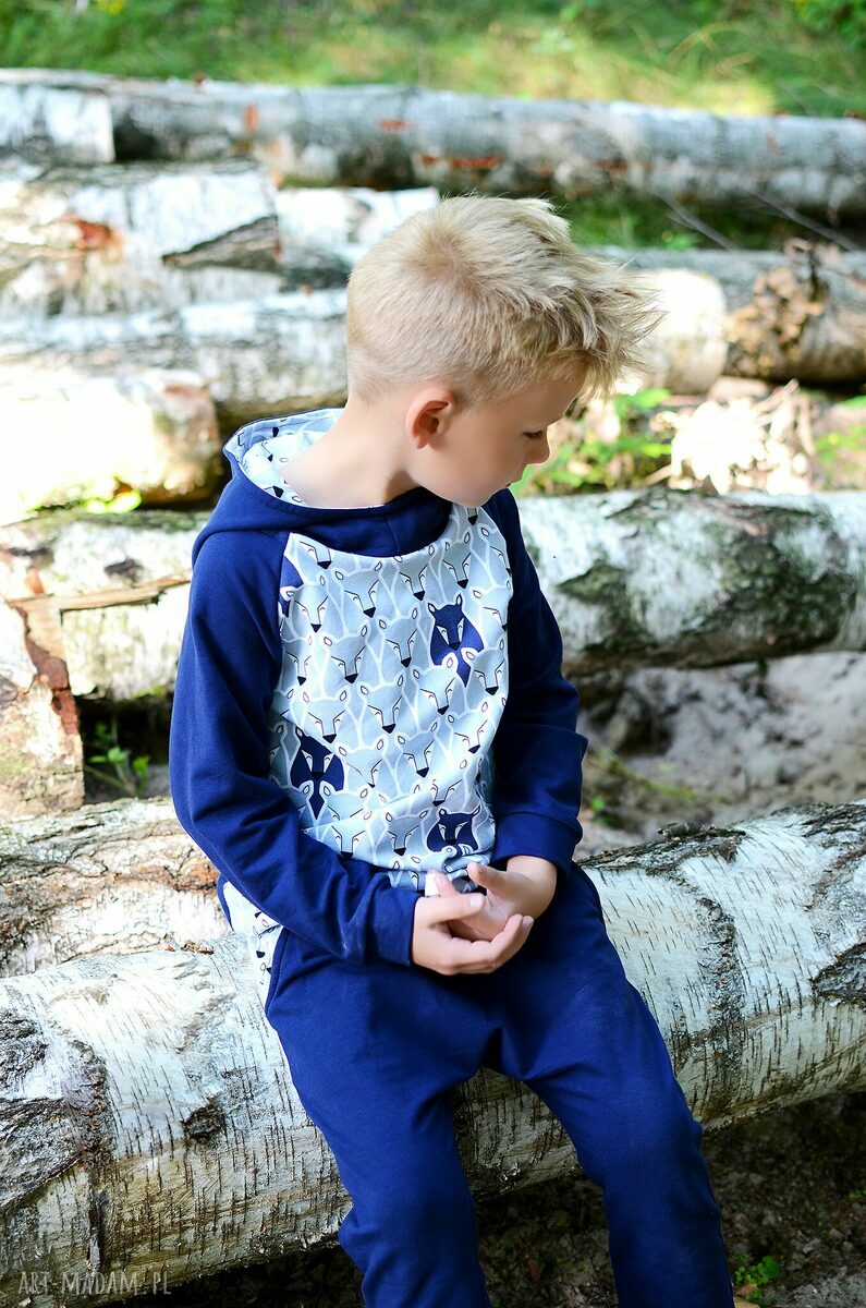 Bluza hoodie WILKI