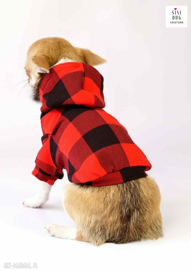 intrygujące bluzy - bluza z kapturem dla psa - sisidogcouture