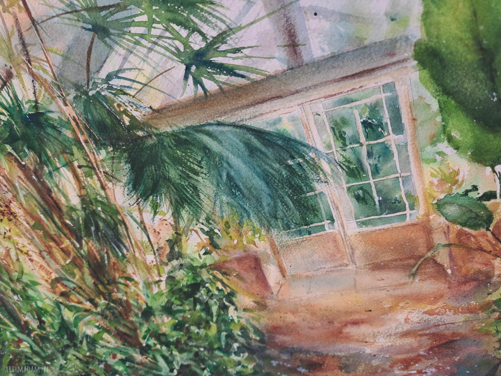 Botaniczna szklarnia - oryginalna akwarela 43x61 cm