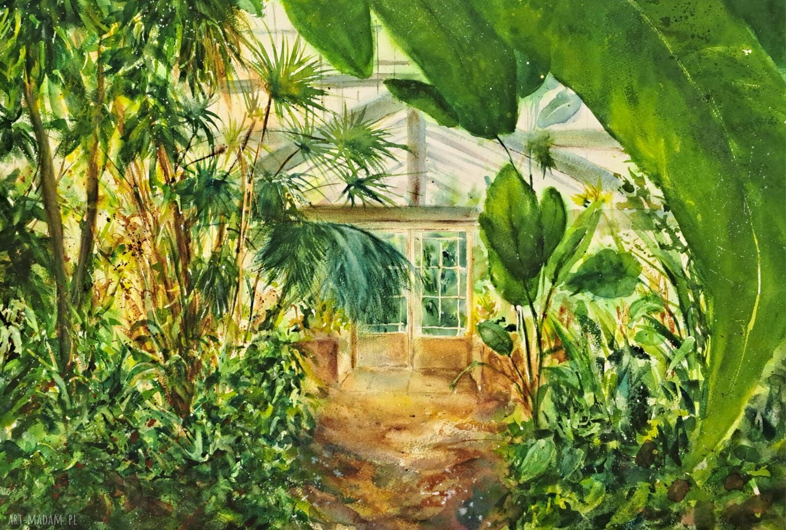 Botaniczna szklarnia - oryginalna akwarela 43x61 cm