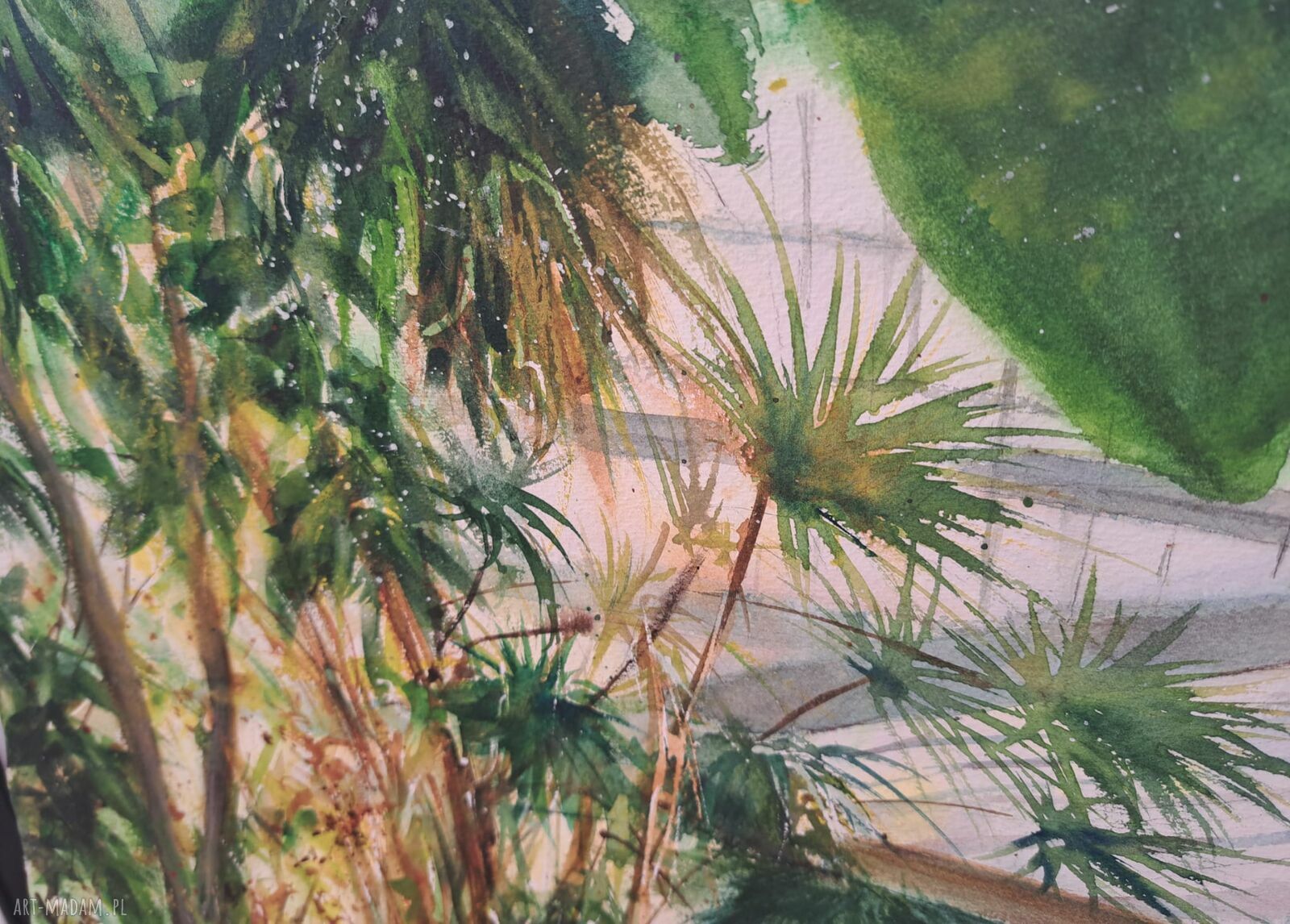 Botaniczna szklarnia - oryginalna akwarela 43x61 cm