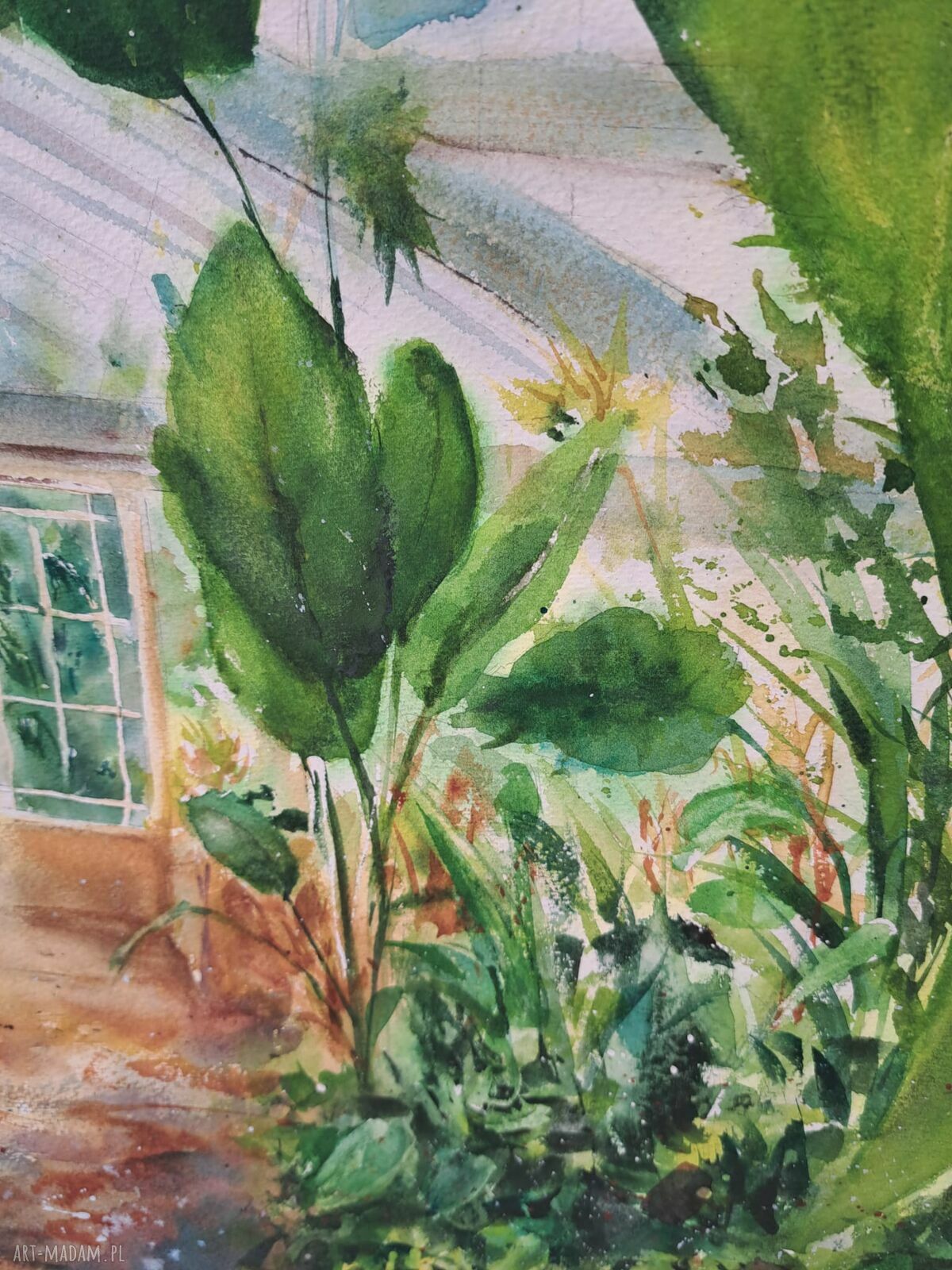 Botaniczna szklarnia - oryginalna akwarela 43x61 cm