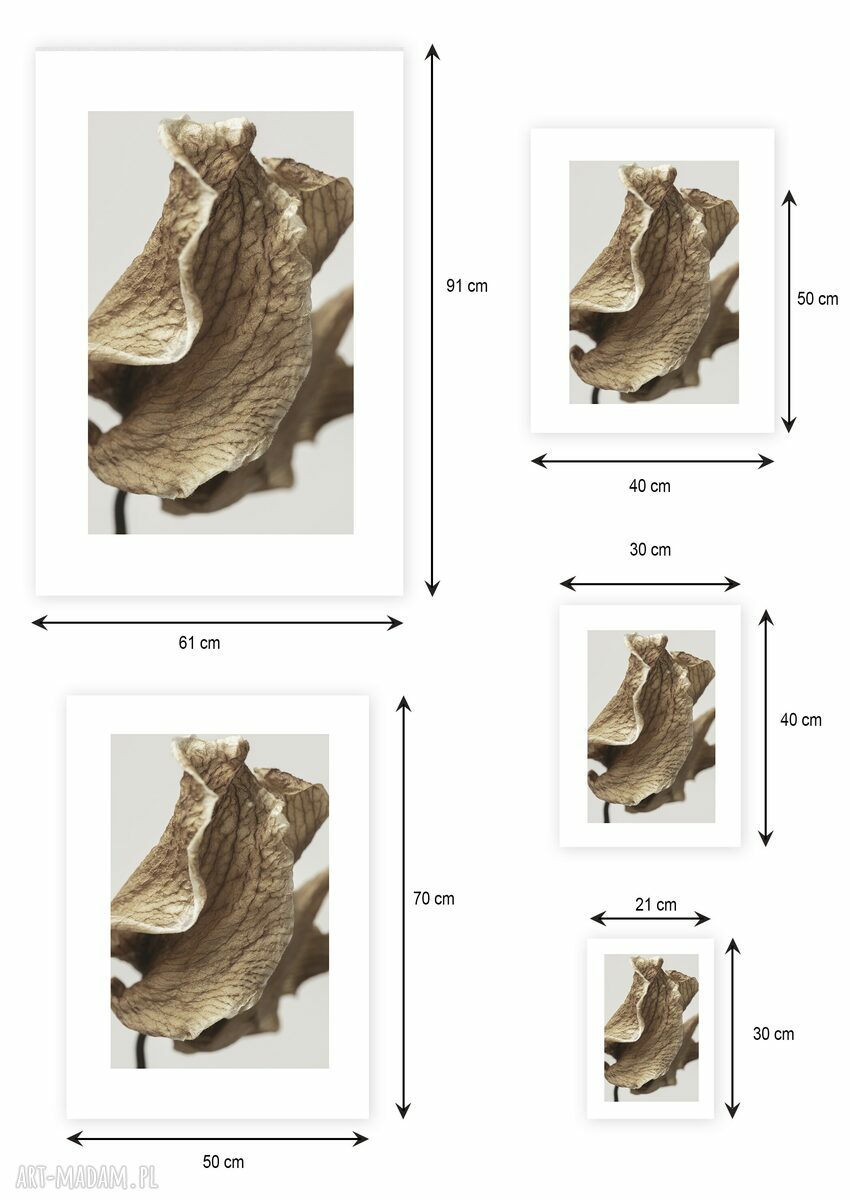 Plakat botaniczny z liściem 40x50 cm (GC-21-991)