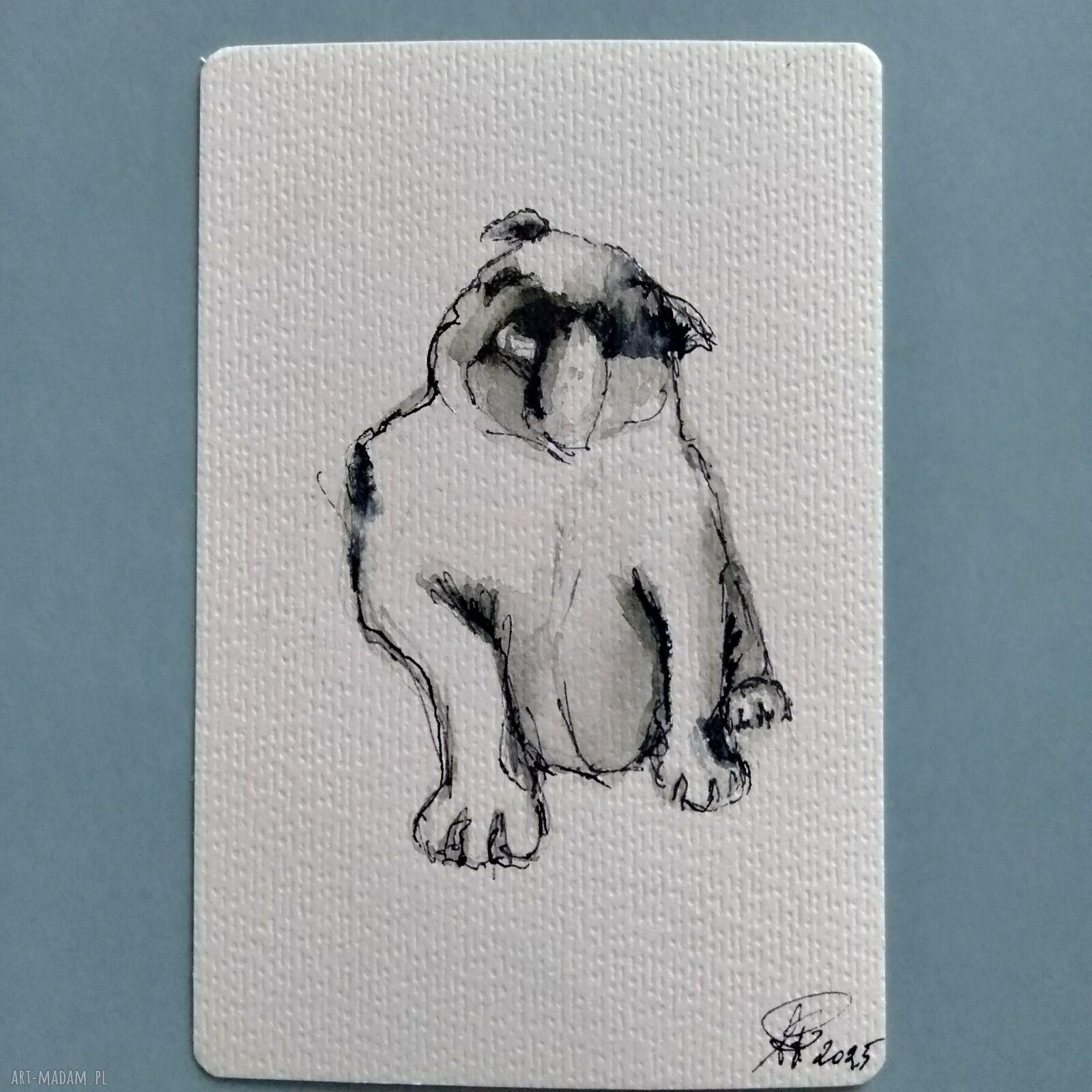 Buldog. Grafika akwarelowa monochromatyczna 10x15 cm
