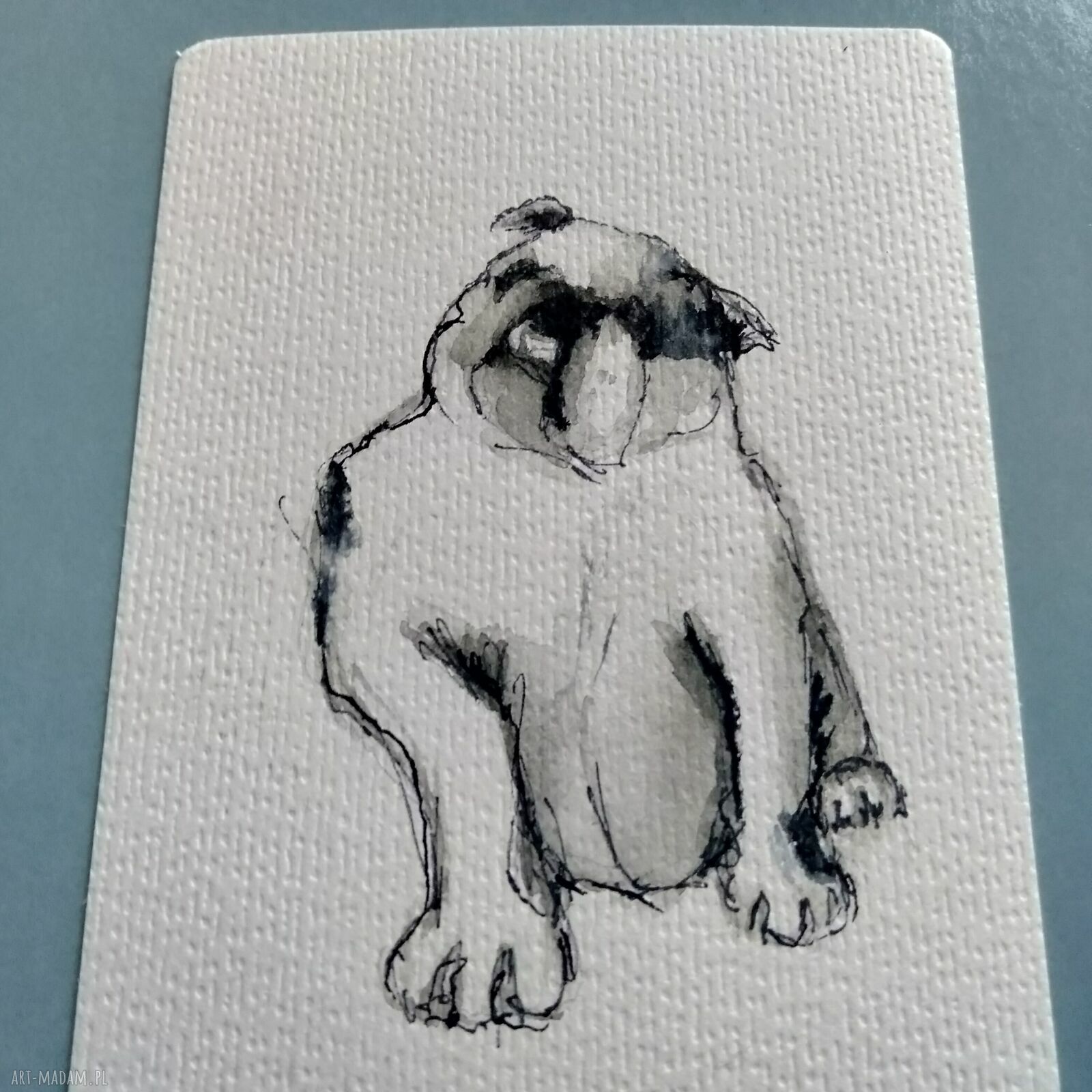 Buldog. Grafika akwarelowa monochromatyczna 10x15 cm