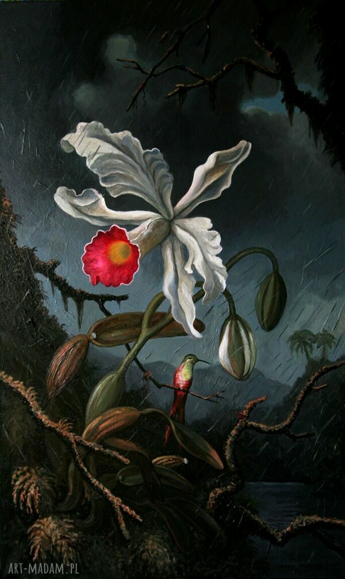 Burzowa orchidea patrzy na kolibra - ręcznie malowany obraz na płótnie 100x60 cm