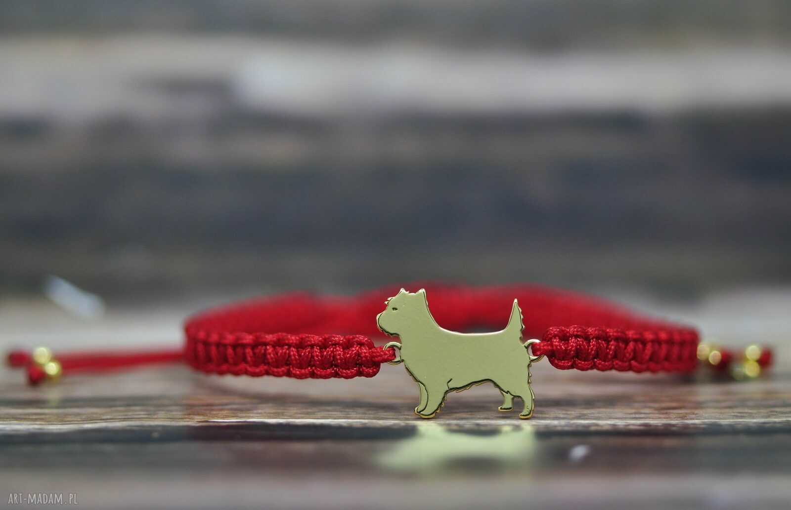 Cairn terrier - bransoletka z psem ze srebra 925 pozłacana