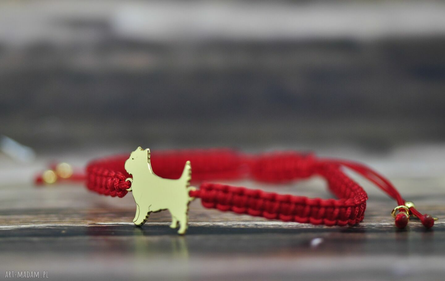 Cairn terrier - bransoletka z psem ze srebra 925 pozłacana
