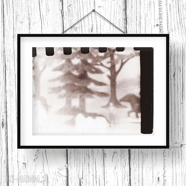 Camera Obscura - tryptyk fotograficzny w sepii (3 zdjęcia) A4