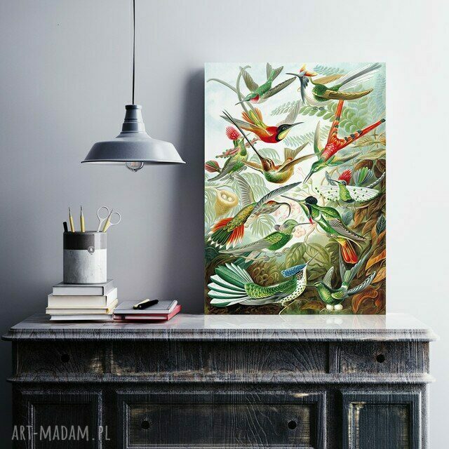 Obraz na płótnie Rajskie Ptaki 50x70 cm (canvas)