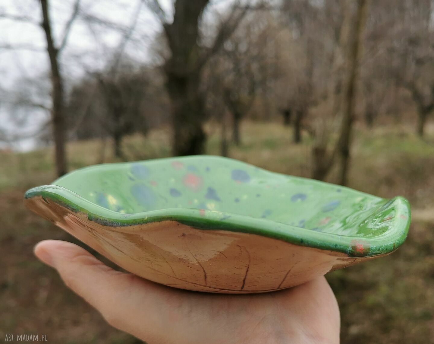Ceramiczna misa c208 z motywem paproci - Shiraja