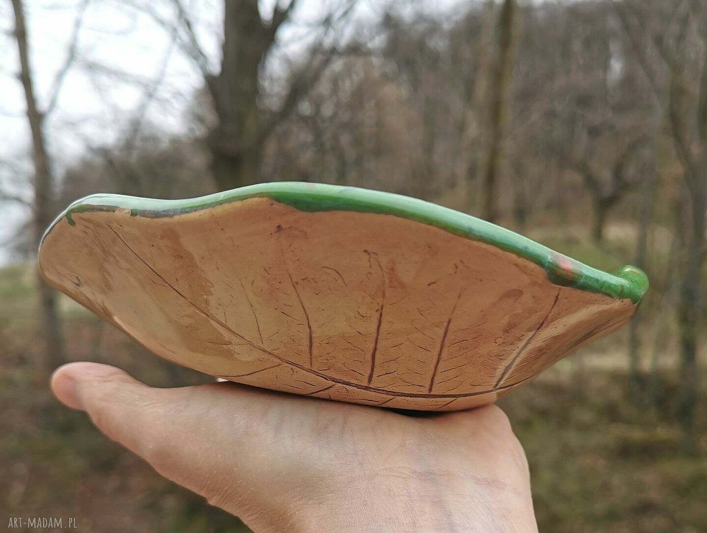 Ceramiczna misa c208 z motywem paproci - Shiraja