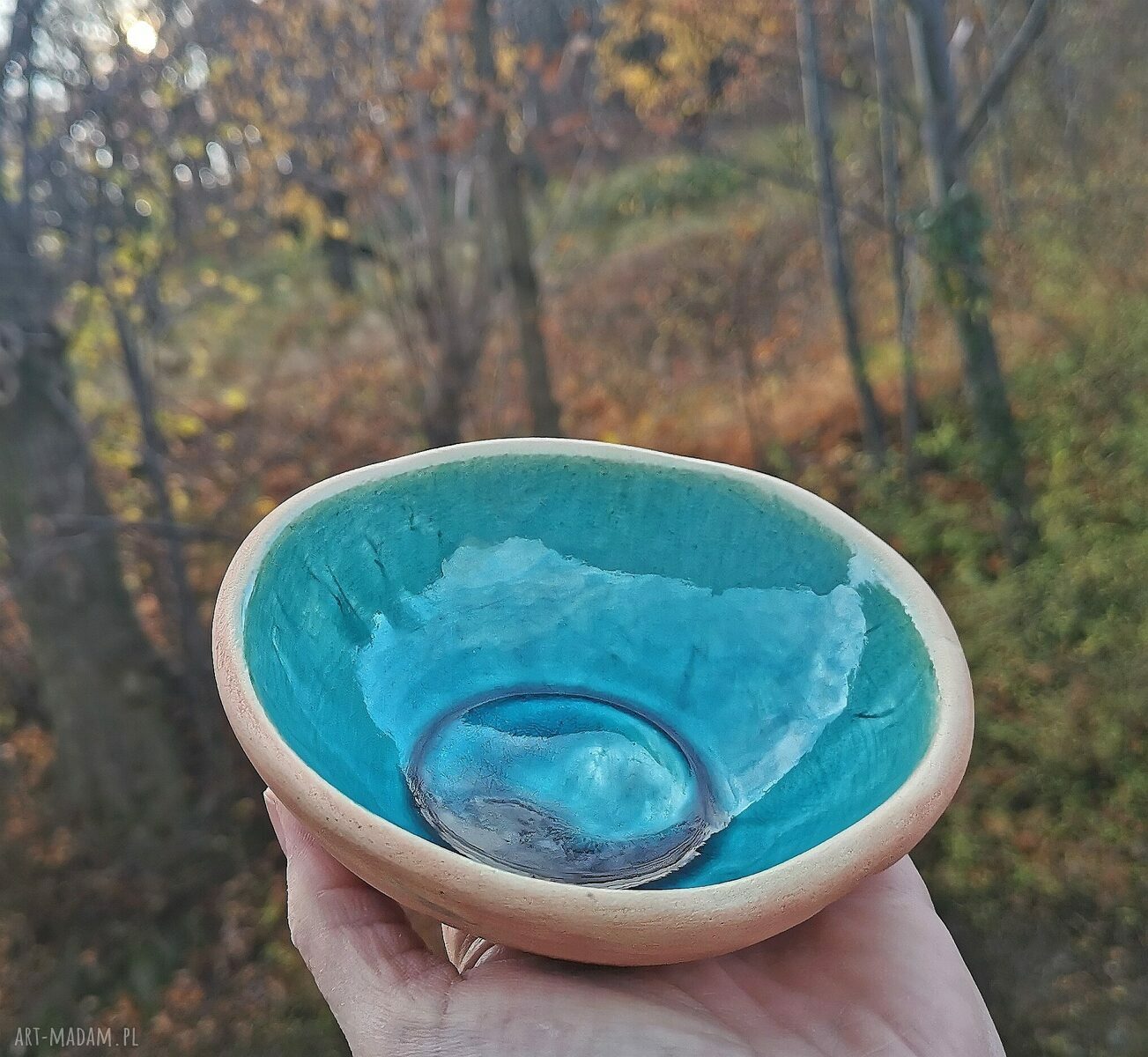 Ceramiczna miseczka z ważkami na przekąski (c380)