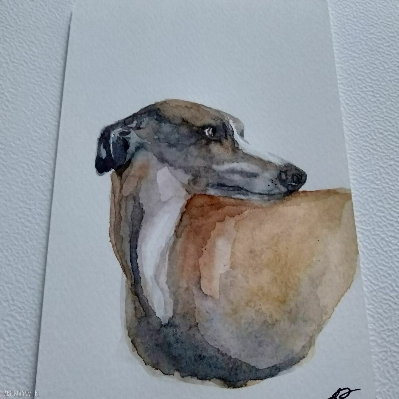 Chart - akwarela na papierze 10 x 15 cm