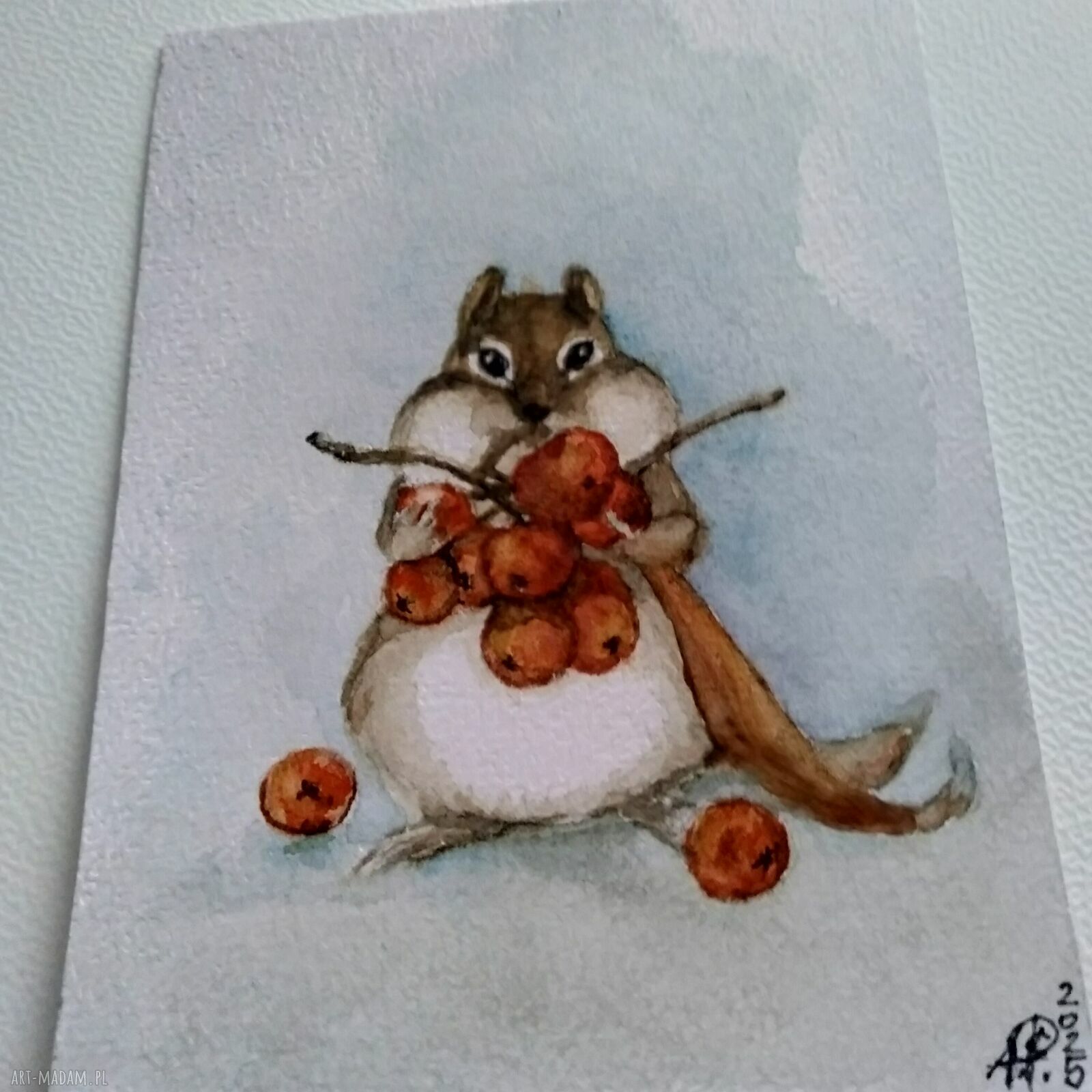 Chomik z jarzębiną - akwarela (10,5x14 cm)