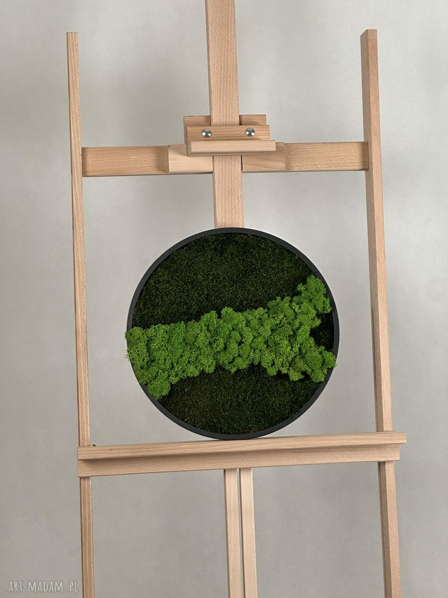 Chrobotek na Kole - okrągły obraz z mchu stabilizowanego (30 cm)