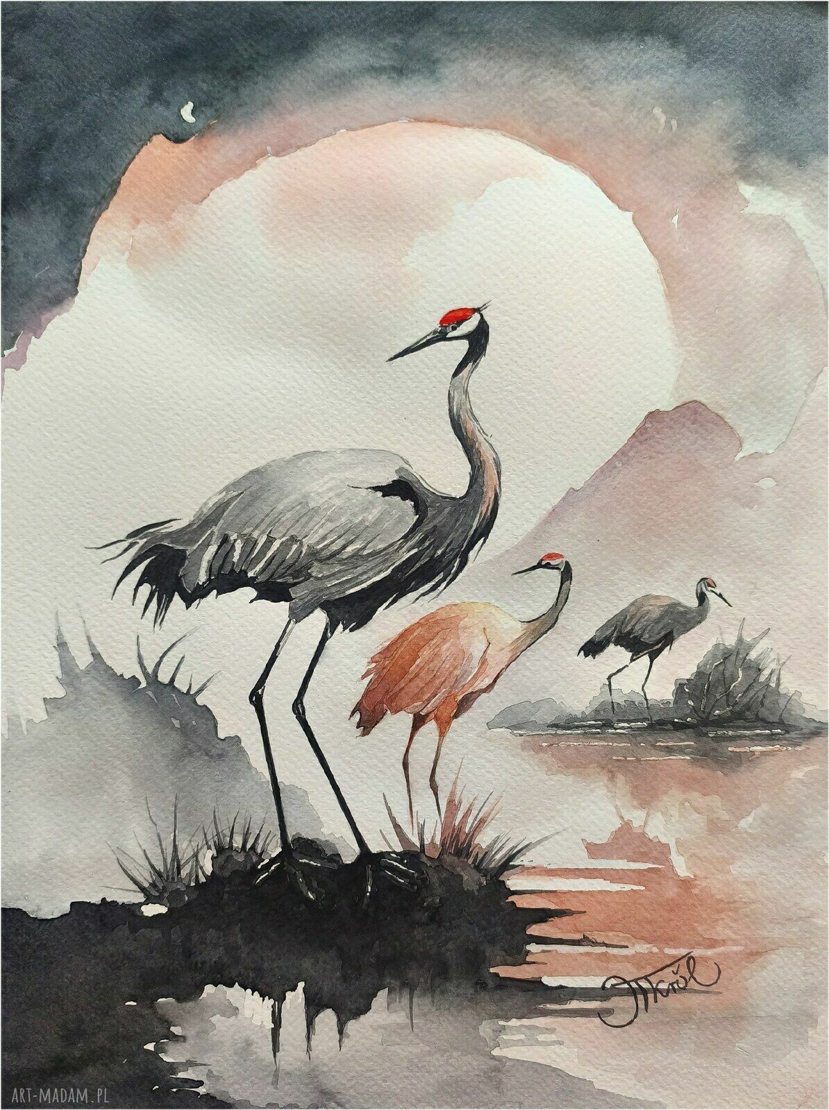 Chwila przed lotem - oryginalna akwarela z żurawiami 24 x 32 cm